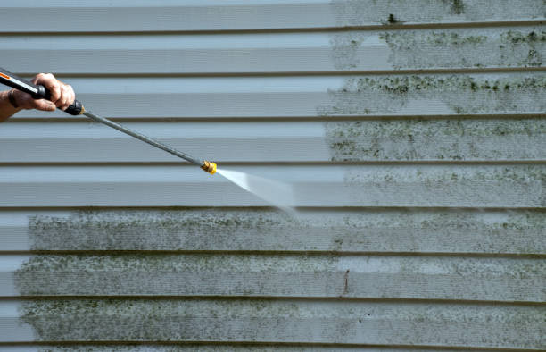 Best DIY Mold Remediation Support Services in North Charleroi, PA
